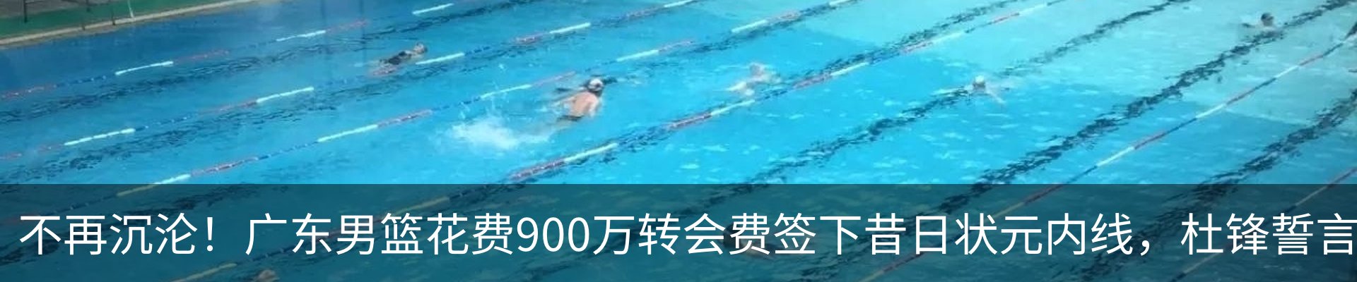 新闻动态