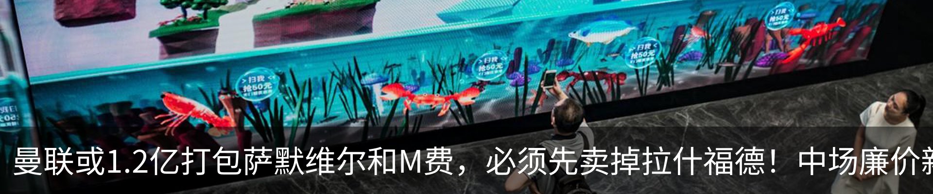 新闻动态