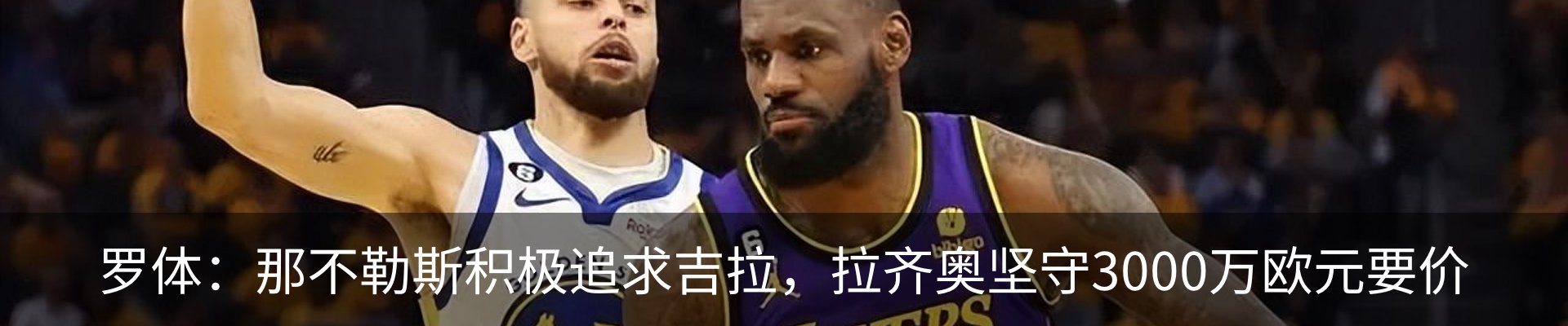新闻动态