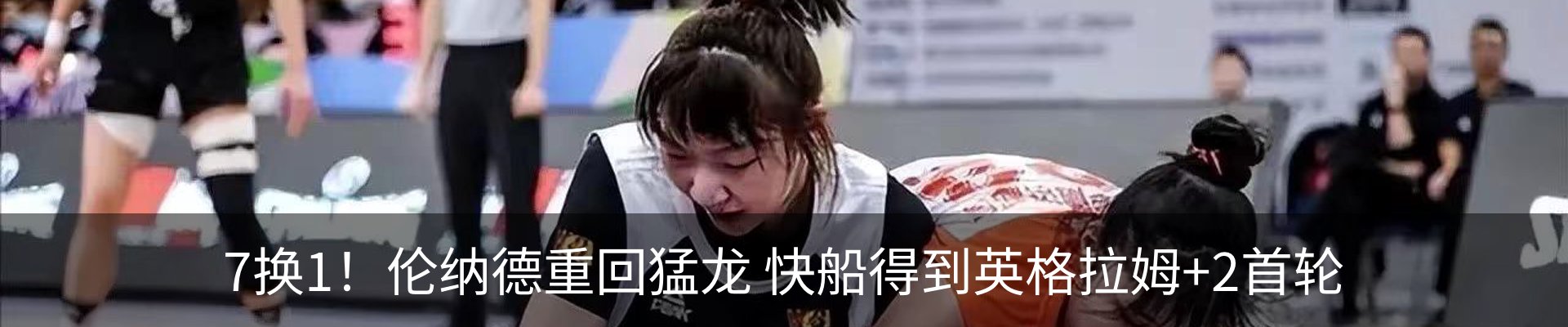 新闻动态